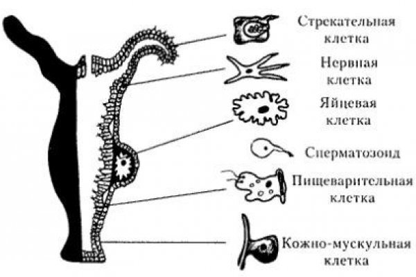 Наркосайт кракен