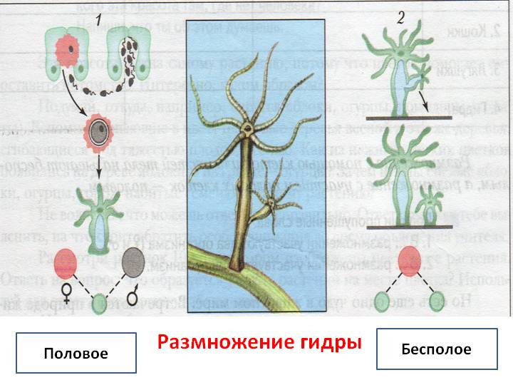 Не получается зайти на кракен